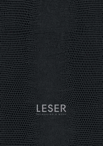Descubra nuestro actual LESER catálogo online 2024