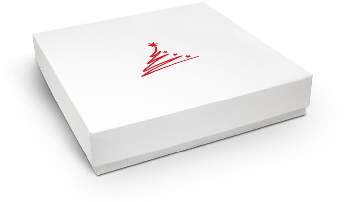 A modern Christmas packaging with a discreet motif