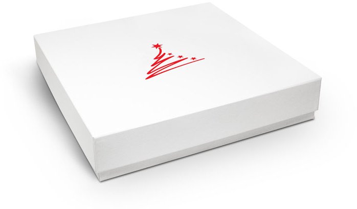 Modern Christmas packaging with a discreet motif