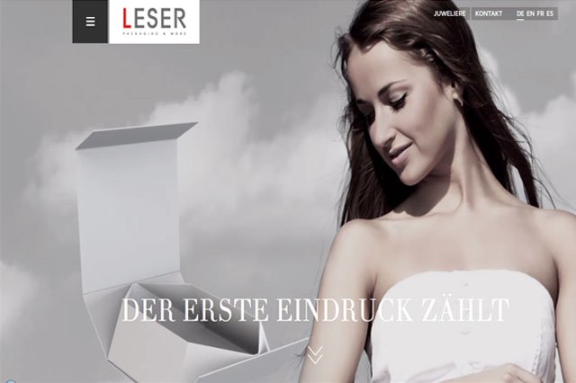 Leser GmbH - neue Website