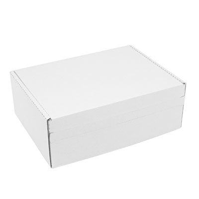 Versandkarton aus Wellpappe im Format 240x180x90 mm