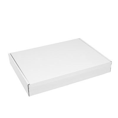 Versandkarton aus Wellpappe im Format 315x230x45 mm
