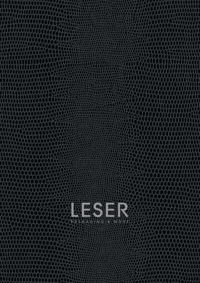 Descubra nuestro LESER catálogo actual en línea 2024